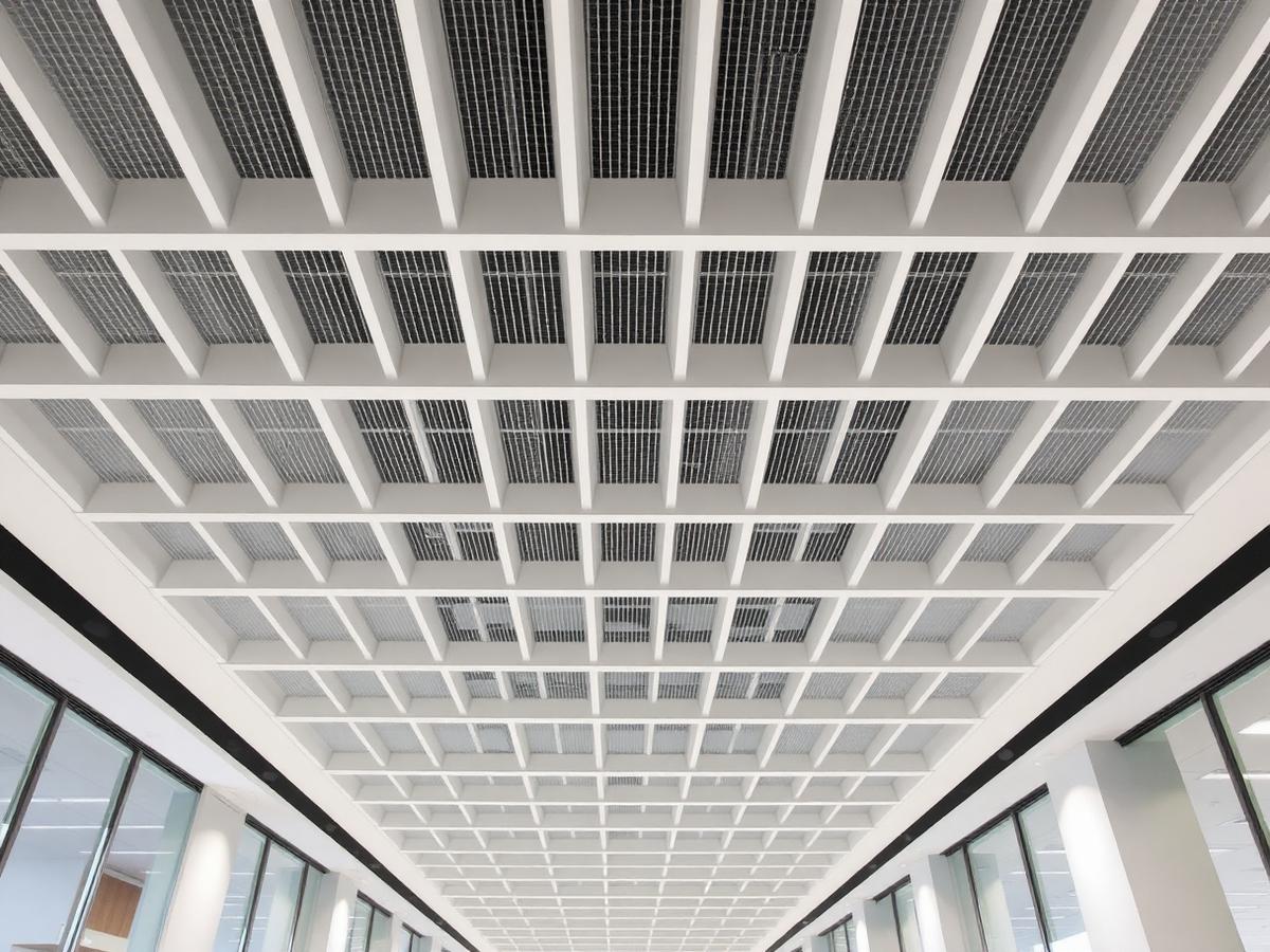 Suspended Ceiling Systems